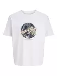 Jack&Jones herr t-shirt Honolulu Shape Tee - T-shirts för herrar - 140290 - 9