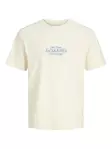 Jack&Jones T-shirt Cassis - T-shirts för herrar - 140960 - 1