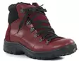 Sievi Ankelboots Kirsi Burgundy - Stövletter och kängor för damer - 141942 - 2