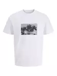 12286117 - T-shirts för herrar - 138625 - 1