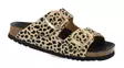 Scholl Mules Noelle Leopard - Slip-ins för damer - 140589 - 2